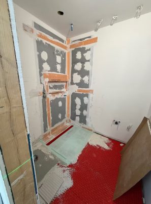 Modern Shower with Linear Drain
